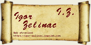Igor Zelinac vizit kartica